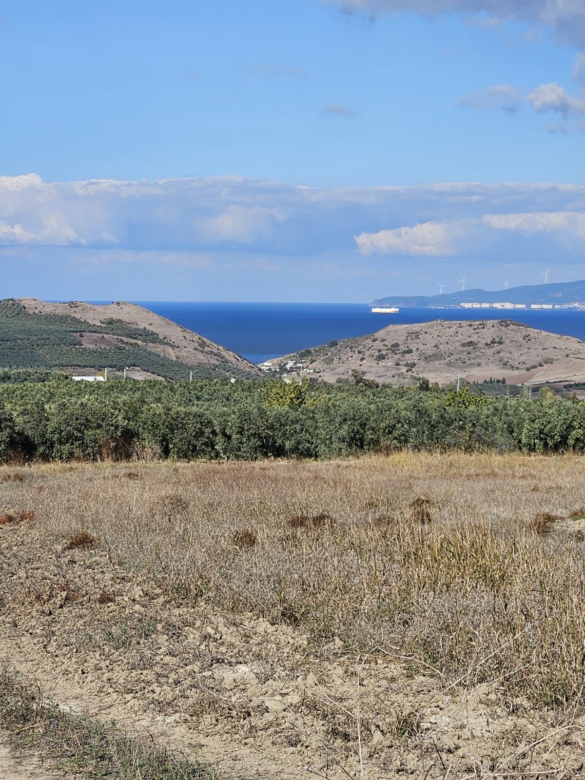 Mudanya Yalıçiftlik’te Yatırım Değerli Deniz Manzaralı Tarla